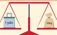 1 Tạ Bằng Bao Nhiêu Kg – Cách Quy Đổi Đơn Giản Và Chuẩn Xác