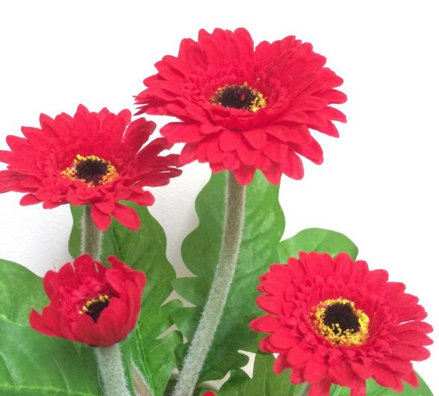 Cúng xe nên cúng hoa gì 